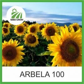 Соняшник ARBELA 100 (Seed Grow)