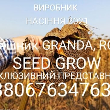 Насіння соняшника Seed Grow