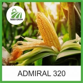 Кукурудза Admiral 320 (Seed Grow)