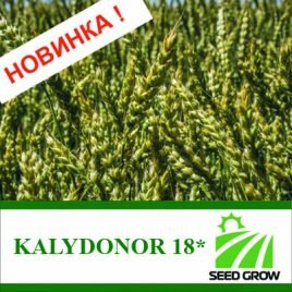 Пшениця KALYDONOR 18* (Seed Grow)