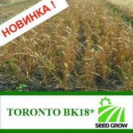 Пшениця TORONTO BK18* (Seed Grow)